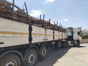 ناکامی قاچاقچیان چوب در مهریز؛ ۲۱ تن محموله غیرمجاز در گلوگاه شهید مدنی کشف و ضبط شد
