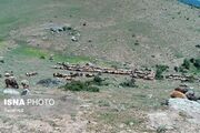 فرماندار: توسعه پایدار خدابنده در گرو تقویت سرمایه‌گذاری و صیانت از منابع طبیعی است
