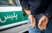 دستگیری ۲ سارق سابقه‌دار در شاهرود و دامغان