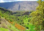 توسعه باغداری در ملکشاهی؛ اشتغال‌زایی در دامنه کبیرکوه