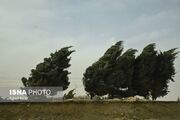 پیش‌بینی افزایش دما و خیزش گردوخاک در قزوین