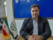 ۹۸ درصد تاکستان‌های اسدآباد سنتی است/ ثبت نشان جغرافیایی موسیر روستای گردشگری حبشی