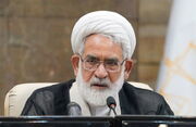 رئیس دیوان عالی کشور: وکلا با توجیه موکل خود از طرح اعاده دادرسی بی‌مورد جلوگیری کنند