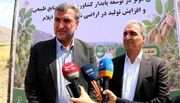 ۳۳ پروژه با اعتبار ۴۶۹ میلیارد تومان در ایوان افتتاح و کلنگ‌زنی شد