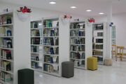 یک مسئول: توسعه کتابخانه‌های روستایی مهم‌ترین پیش‌شرط تحقق عدالت فرهنگی است