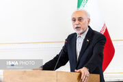 علی‌اکبر صالحی: «الموت» نماد تلاقی جغرافیای اندیشه، مقاومت و فرهنگ است