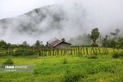 بارش ۶۶ میلی متری در سیاهکل/ تداوم بارش های رگباری تا فردا