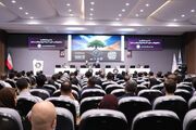 یک استاد دانشگاه: تفکر انتقادی، لازمه تصمیم‌گیری آگاهانه مدیران است