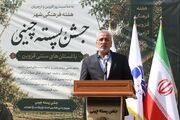 معاون سیاسی استاندار: «قزوین»، شهر هزار رنگ و هزار جذابیت است