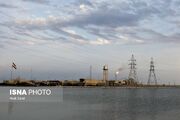ضمانت اجرای تعهدات نفتی در هورالعظیم مهمترین شرط سازمان محیط زیست است