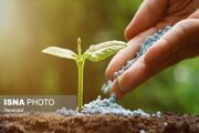 توزیع بیش از ۳۱ هزار تن کود پایه در همدان