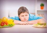 زنگ خطر چاقی نوجوانان در مهریز؛ برای پیشگیری چه کنیم؟