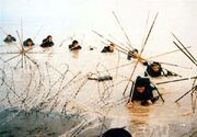 از شب تاریک اروند تا تشییع شهدای دست بسته غواص
