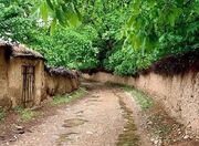 برای حفظ باغات شیراز باید هم انگیزه برای باغدار و هم حساسیت برای مردم ایجاد کنیم