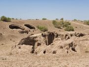 خطر فروپاشی اکوسیستم در ۱۵ روستای خراسان رضوی