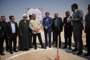 نیکزاد: بوشهر در نهضت عدالت آموزشی وضعیت مطلوبی دارد