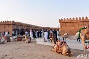 از وضعیت الان وضعیت قبیله قریش خبر دارید؟