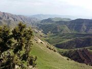 ارزش تندوره در طبیعت بکر و حیات‌وحش آن است/غذای رهاشده گردشگران؛ عامل تغییر رفتار جانوران