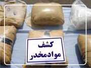 کشف بیش از ۲۵۵ کیلوگرم مواد مخدر و دستگیری ۲۶۳ سوداگر مرگ در استان سمنان