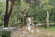 باران و رعدوبرق دربرخی استان‌ها تا اواسط هفته آینده