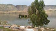 بالا آمدن تراز آب سد سیمره، ۴۰ هکتار انارستان عرب روبار را نابود کرد