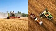 چگونه گندم بیشتری برداشت کنیم؟ 7 نکته + 4 روش کاهش ضایعات