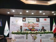 با وجود تحریم‌ها، توانستیم
