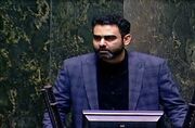 ادعای ثابتی درباره «قیمت داشتن» نمایندگان زیر ذره‌بین قانون می‌رود؟