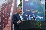 معاون وزیر کار: ثبت بین‌المللی رازیانه رزن پیگیری شود