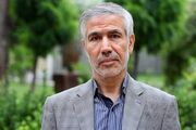 شعر فاطمی، فراتر از مرثیه‌سرایی