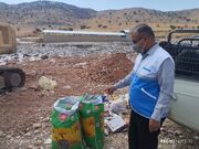 کشف و معدوم‌سازی یک تن پسته، آجیل آفت‌زده و مواد غذایی فاسد در شهرستان بویراحمد