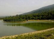 تبدیل آب‌بندان‌های به کارگاه اقتصاد روستایی/ کشف خاویار غیرمجاز در بازار ماهی محمودآباد