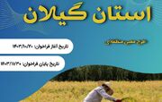 توسعه زنجیره ارزش‌ها در مناطق کم‌برخوردار گیلان با طرح معین منطقه‌ای