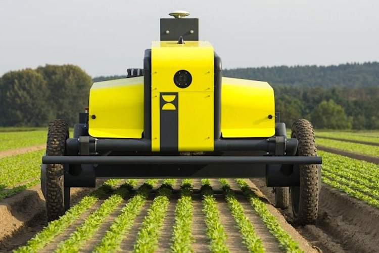 تحولی در کشاورزی: ربات‌های خودران با هوش مصنوعی وارد مزارع می‌شوند
