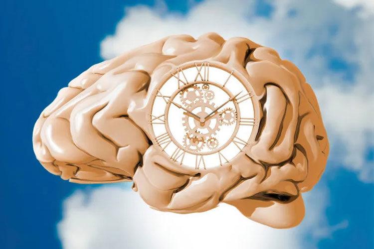 ساعت بیولوژیکی چگونه خطر چاقی و بیماری را افزایش می‌دهد؟