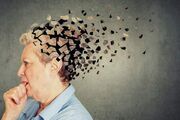 مرز باریک بین فراموشی طبیعی و زوال عقل؛ چند درصد از ما در خطریم؟