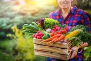 پژوهش جدید: برای کند کردن پیری به یک رژیم غذایی خاص نیاز ندارید