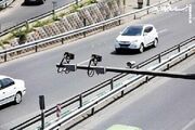 معابر خلوت پایتخت در پایان هفته؛ توصیه پلیس راه به شهروندان