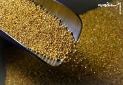 سقوط بیشتر قیمت طلا در راه است؟
