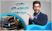 فرش خود را فقط با جوش شیرین تمیز کنید