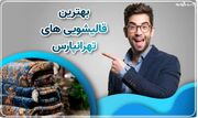 چگونه شامپوفرش بکشیم؟