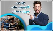 چگونه فرش هایمان را در خانه عمیق تمیز کنیم؟