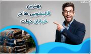 چگونه یک قالیشویی خوب انتخاب کنیم؟