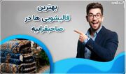 نکاتی برای تمیز کردن عمیق فرش در خانه