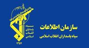 دستگیری سرشبکه وابسته به گروهک تروریست منافقین در اردبیل