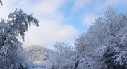 بارش برف و باران در ۳۰ استان