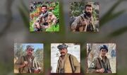 تیم 5 نفره گروهک منحله دمکرات به صورت کامل منهدم شد