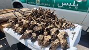 جزییات پرونده کشف جمجمه ۴۱ آهو در چاهی در شاهین‌شهر + عکس
