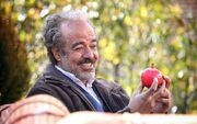 دوبله «پایتخت» و «نون خ» برای مردم سوریه