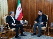 سفیر ایران در گرجستان به عراقچی گزارش داد + عکس